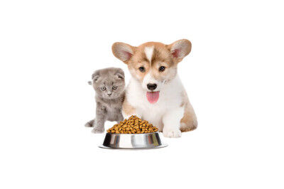 Alimentazione per animali domestici